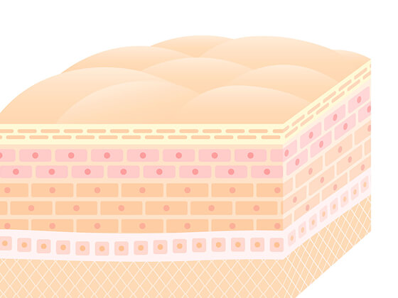 Restoration of skin density & hydration
