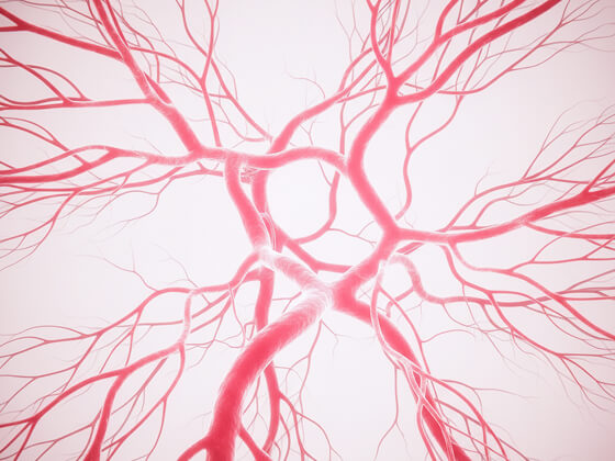 Vascular Rejuvenation