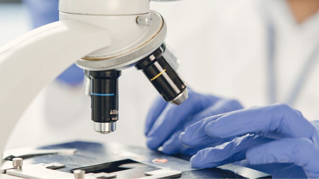 Strictly regulated cell processing and cultivation for Stem Cell Therapy in Japan at Blu CLINIC (Osaka & Ginza, Tokyo)