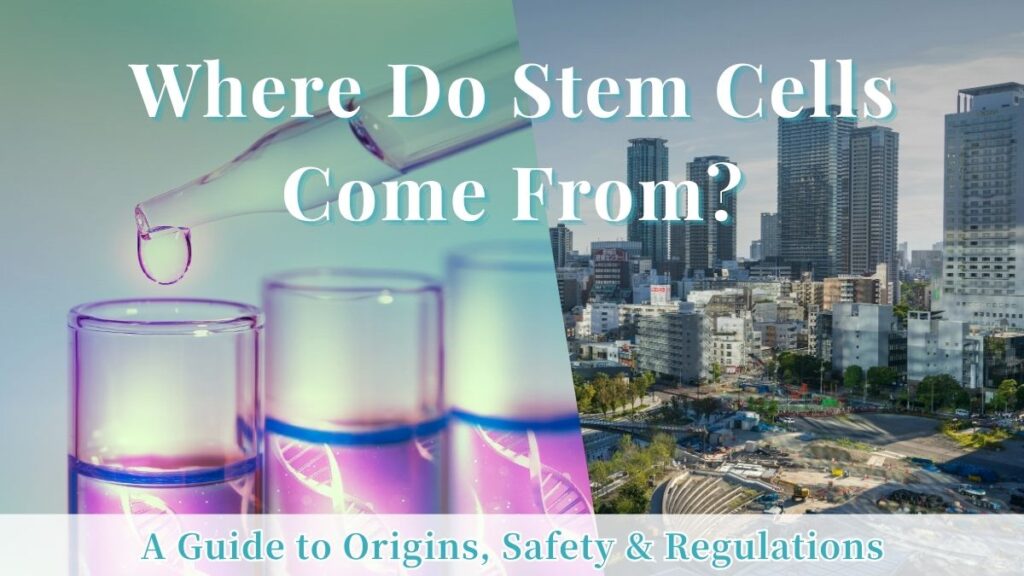 Promotional banner for a guide titled "Where Do Stem Cells Come From? A Guide to Origins, Safety & Regulations."