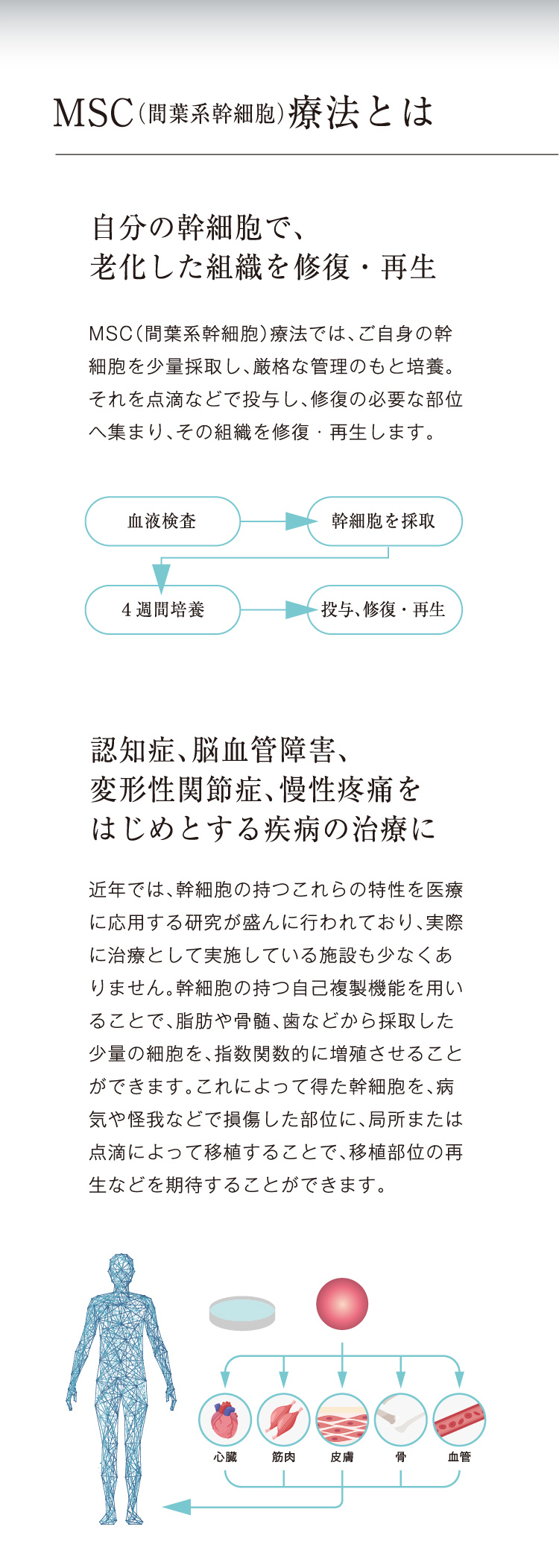 MSC療法とは