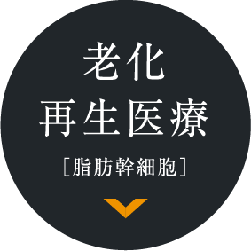 老化再生医療