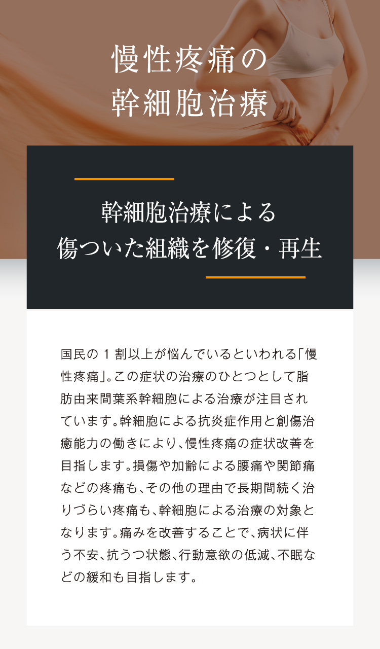 幹細胞治療による傷ついた組織を修復・再生