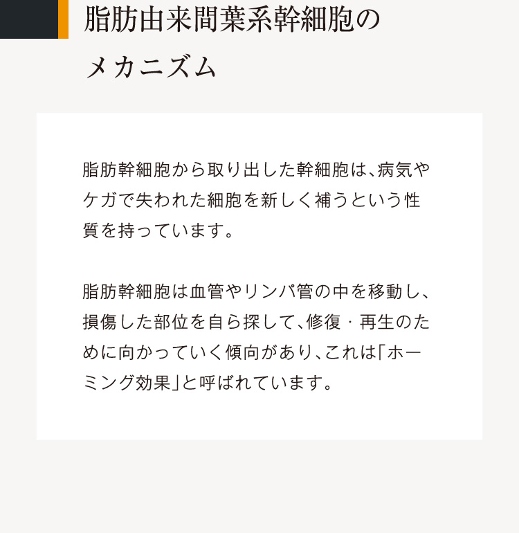 脂肪由来間葉系幹細胞のメカニズム