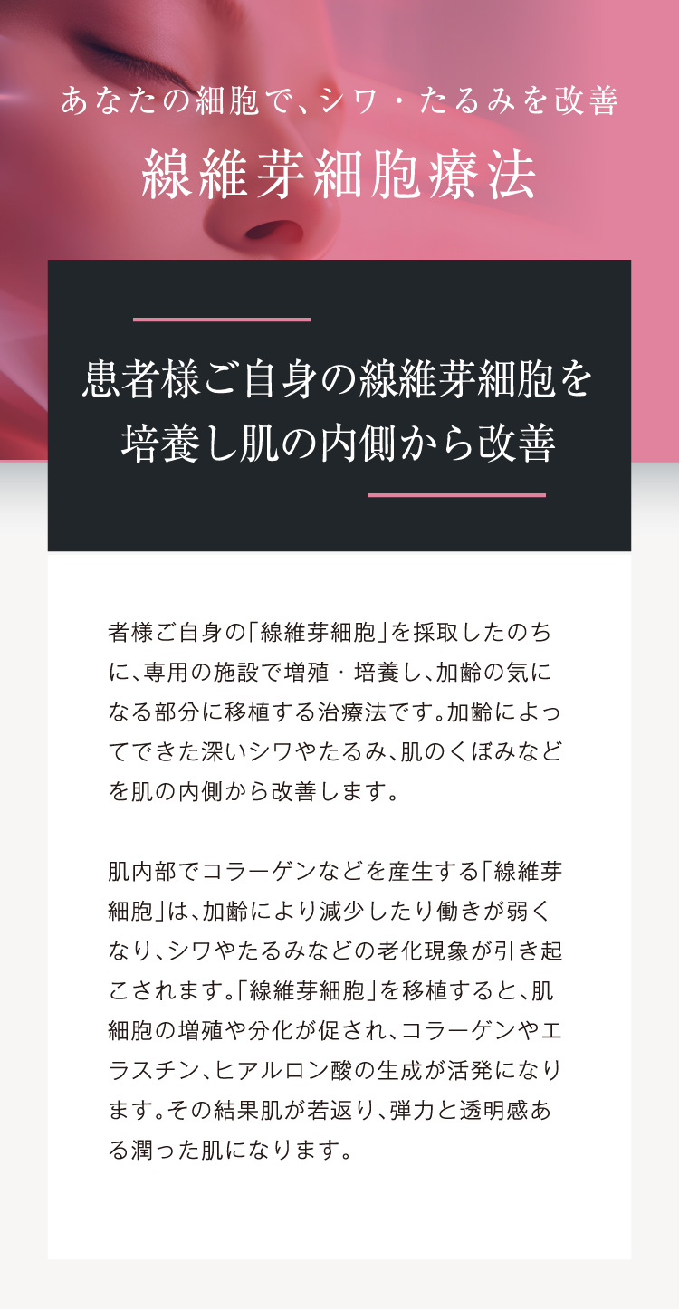 患者様ご自身の線維芽細胞を培養し肌の内側から改善