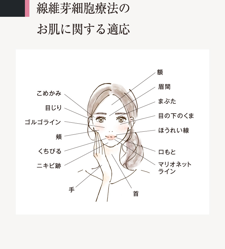 線維芽細胞療法のお肌に関する適応