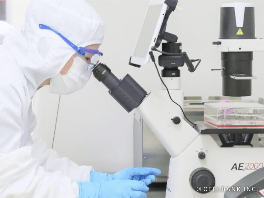 Established a cell culture processing center (CPC)