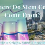 Where Do Stem Cells Come From? Clarifying Cellular Origins for Regenerative Therapy in Japan