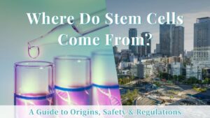Where Do Stem Cells Come From? Clarifying Cellular Origins for Regenerative Therapy in Japan